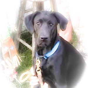 Meet your Posher, Beth